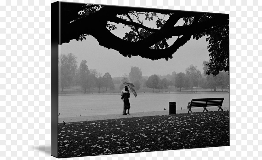 Rain Couple Hyde Park Imagekind Photography Aldo PNG