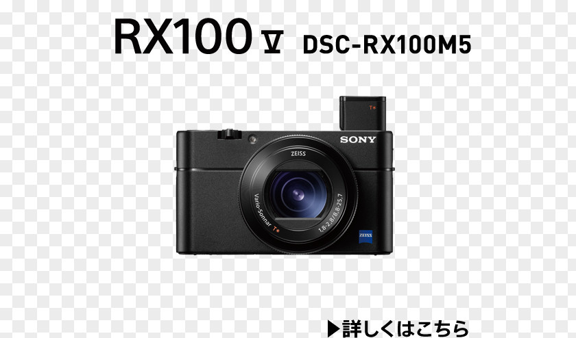 Rx 100 Sony Cyber-shot DSC-RX100 V Canon EOS 5D Mark III Point-and-shoot Camera 索尼 PNG