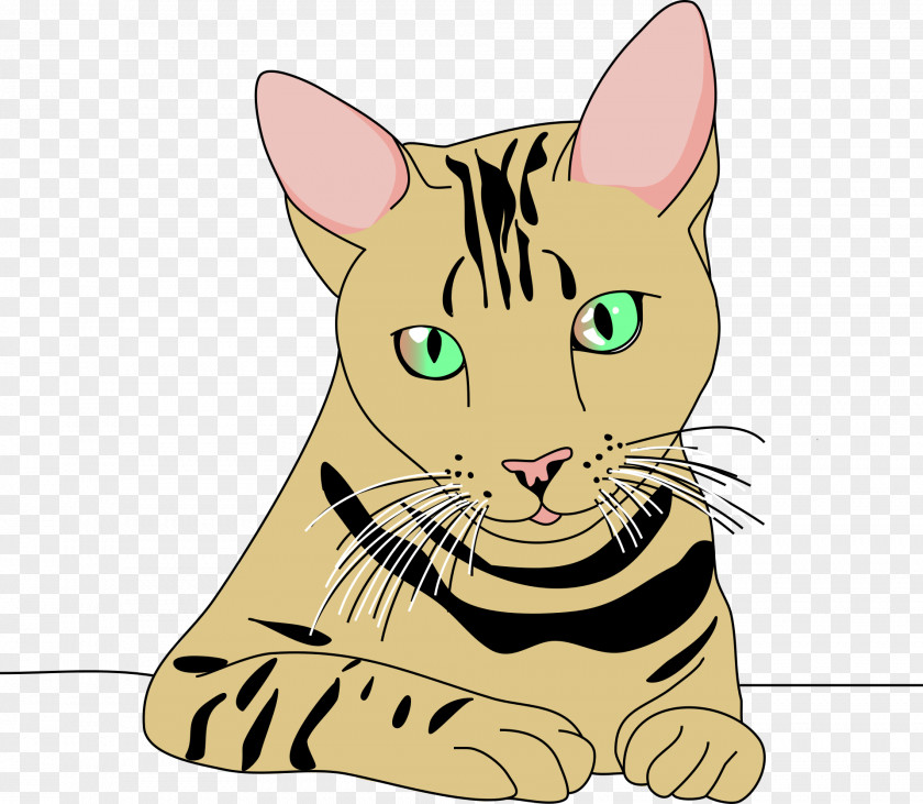 TIGER VECTOR Computer Mouse Mats Cat Joke Humour PNG