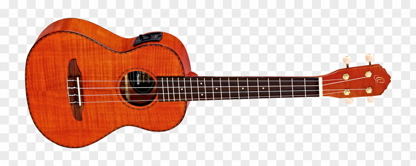Amancio Ortega Gibson Les Paul Epiphone Guild Guitar Company Musical Instruments PNG
