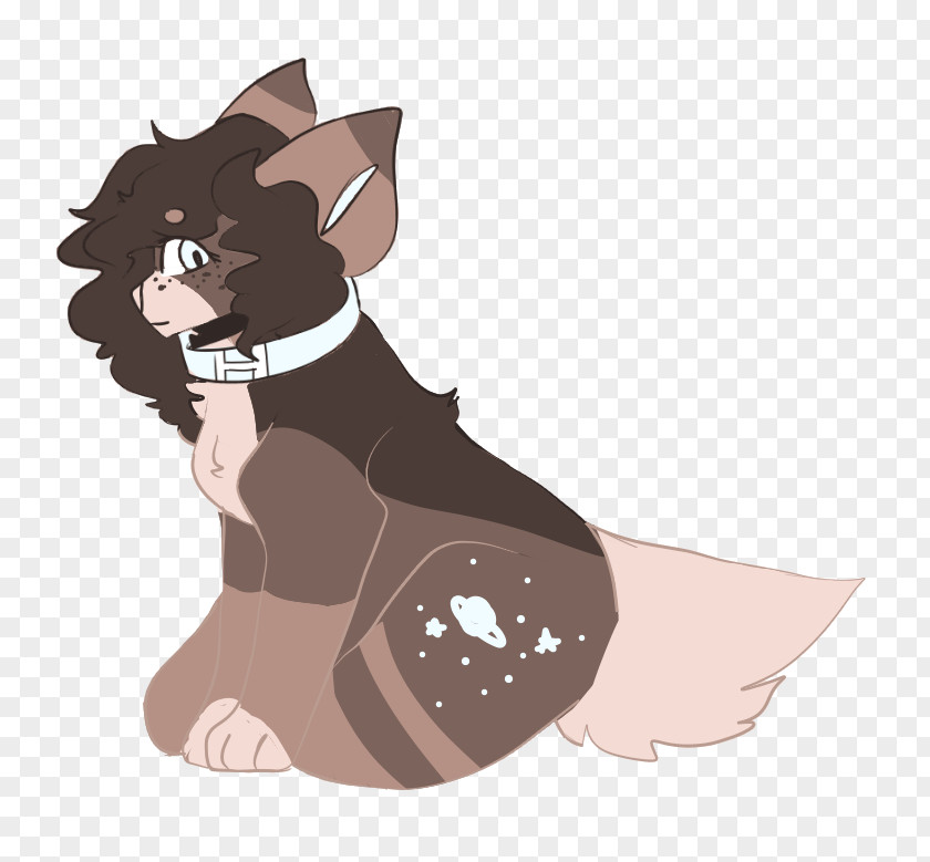 Dog Whiskers Cat Paw PNG