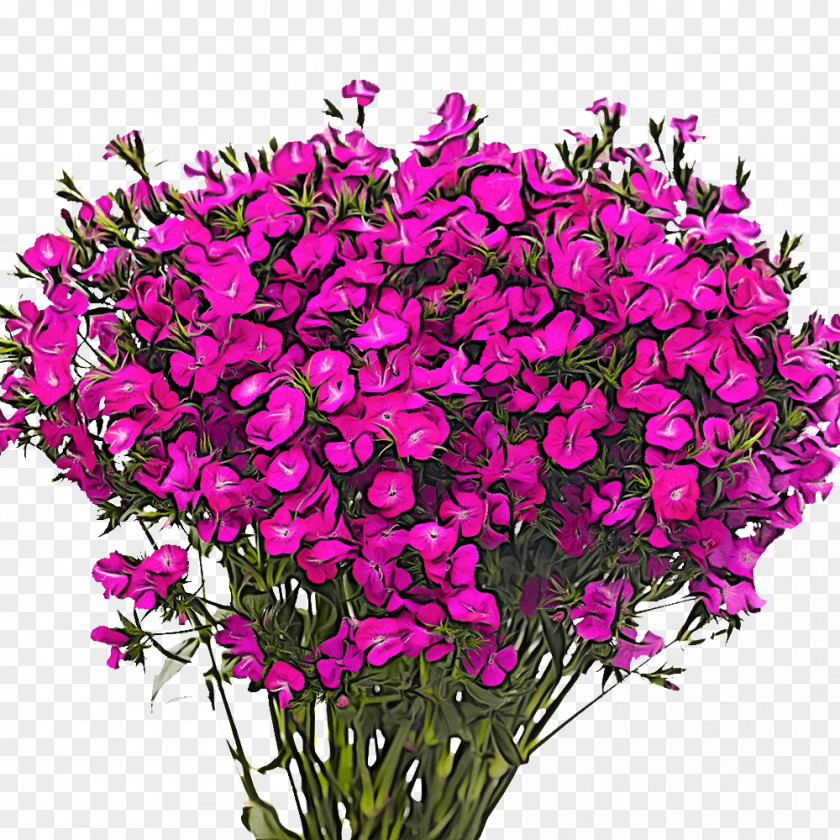 Floral Design PNG