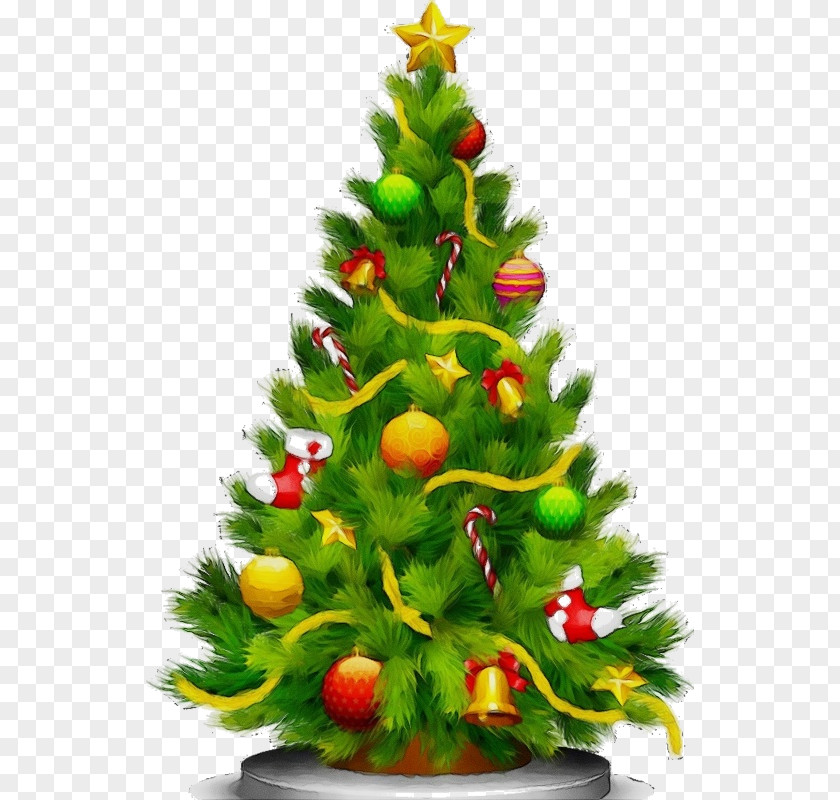 Tree Houseplant Christmas PNG