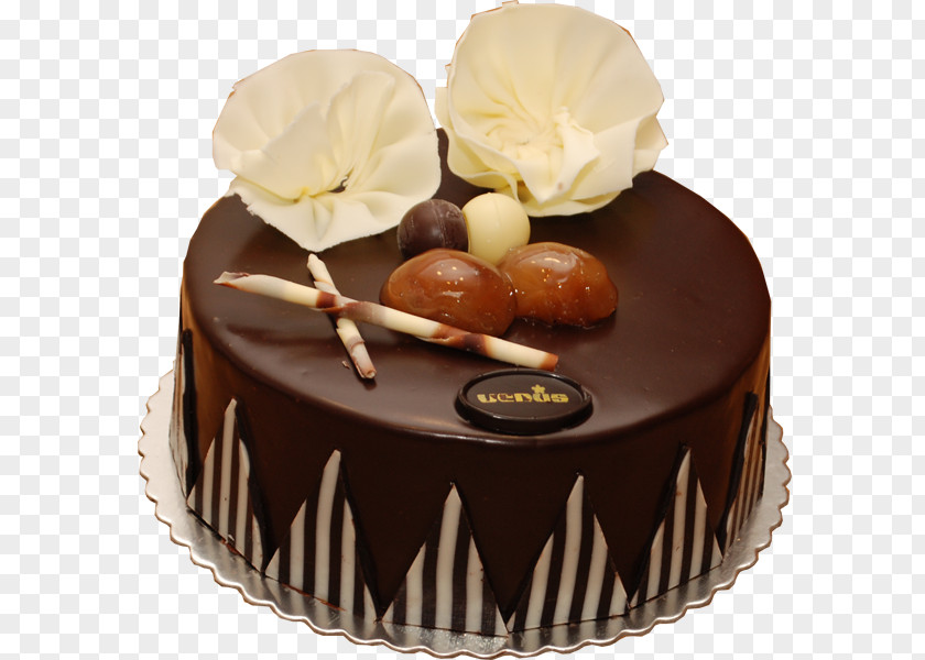 Chocolate Cake Sachertorte Ganache Praline PNG