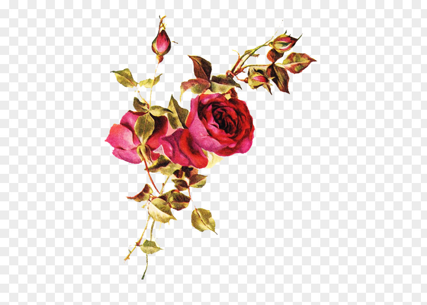 Clip Art Rose Image Golden Moments PNG