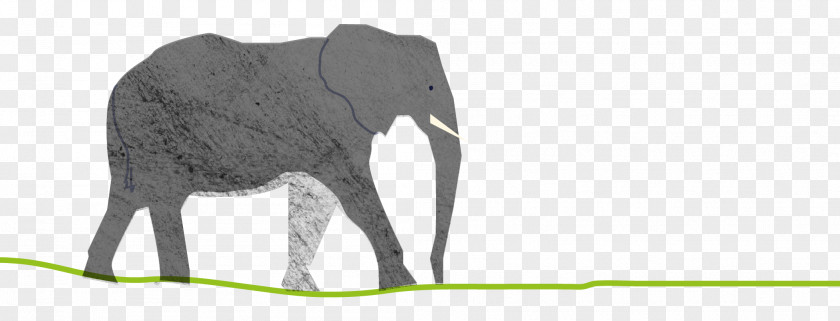 Elephant Indian African Crushing Animal PNG