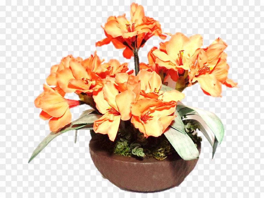 Flower Floral Design Flowerpot Canna Cut Flowers PNG
