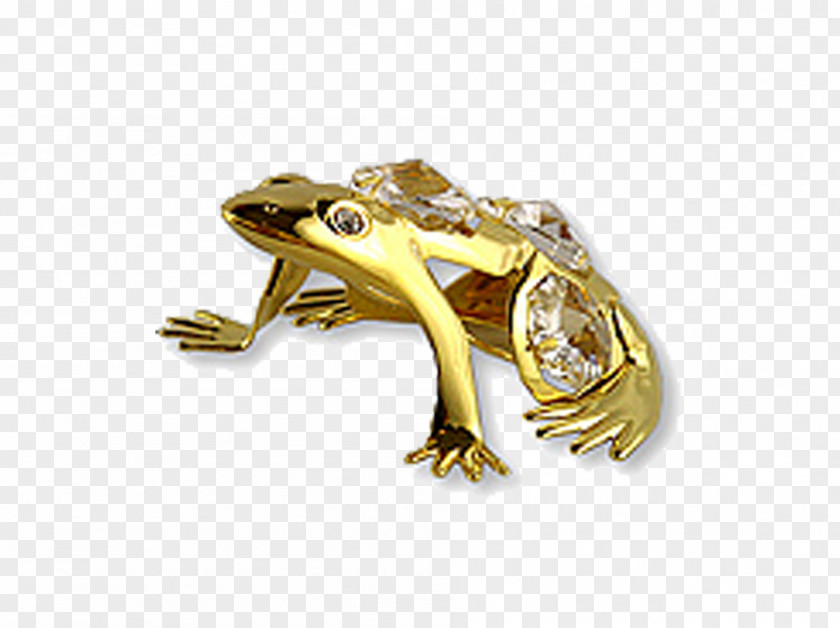 Golden Frog True Reptile Gold Yellow PNG