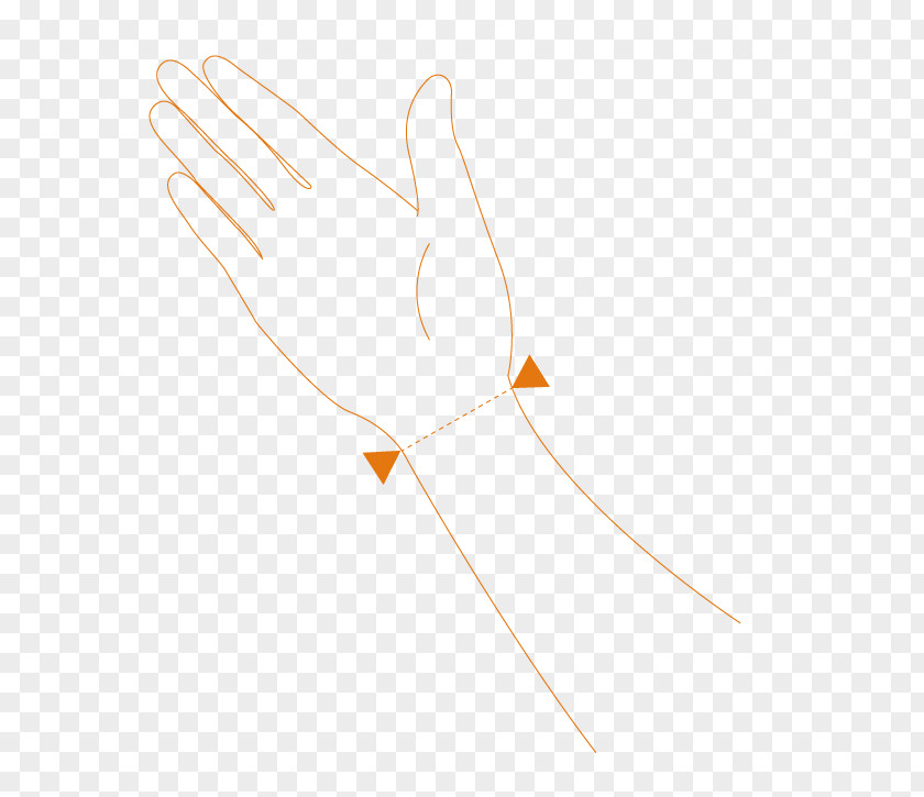 Design Finger Feather Beak PNG