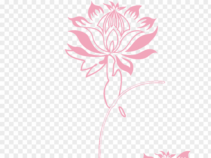 Design Nelumbo Nucifera Motif PNG