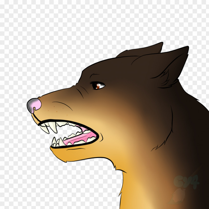 Dog Whiskers Mouth Snout Bear PNG