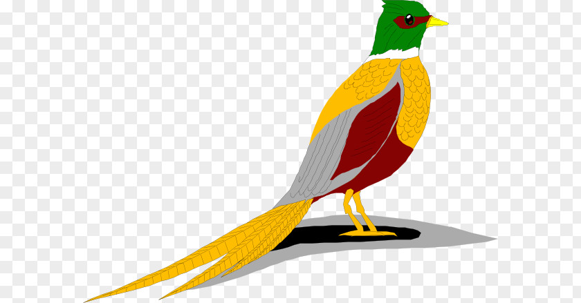 Pheasant Cliparts Green Bird Clip Art PNG