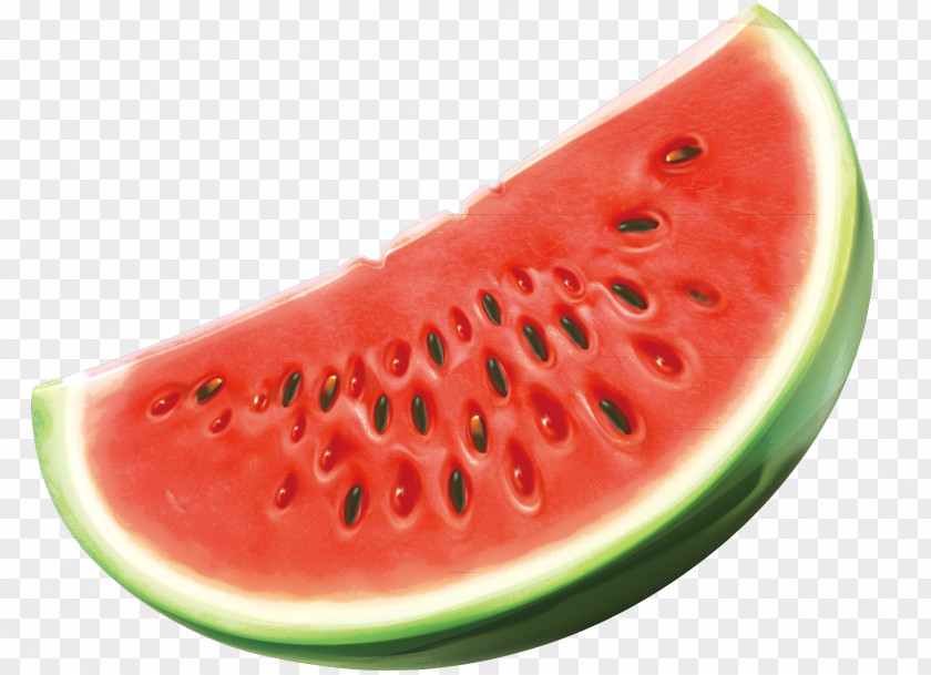 Red Watermelon Green Black Seed Vector Oil Fruit PNG