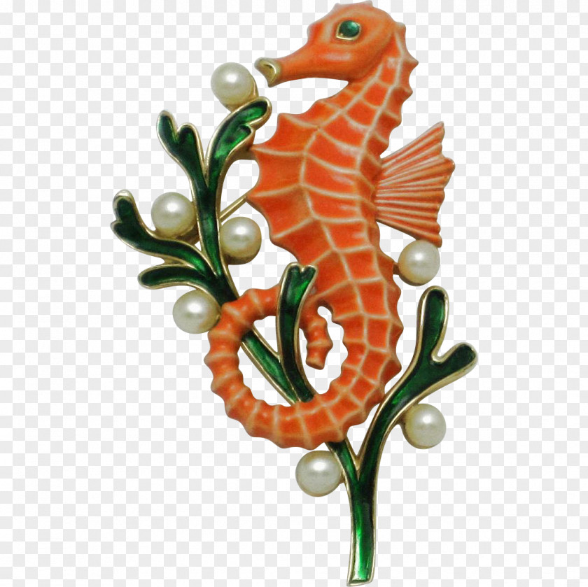 Seahorse Syngnathiformes Fish Personal Identification Number Pin PNG