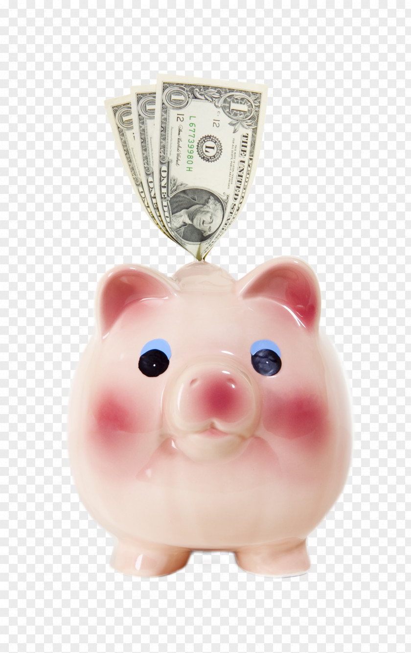Bank Counterfeit Money Piggy PNG
