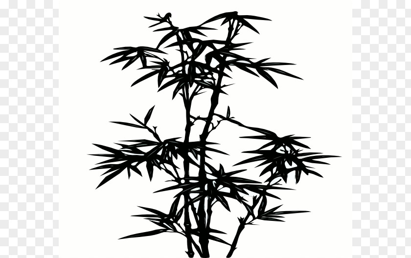 Black Bamboo Silhouette Light Clip Art PNG