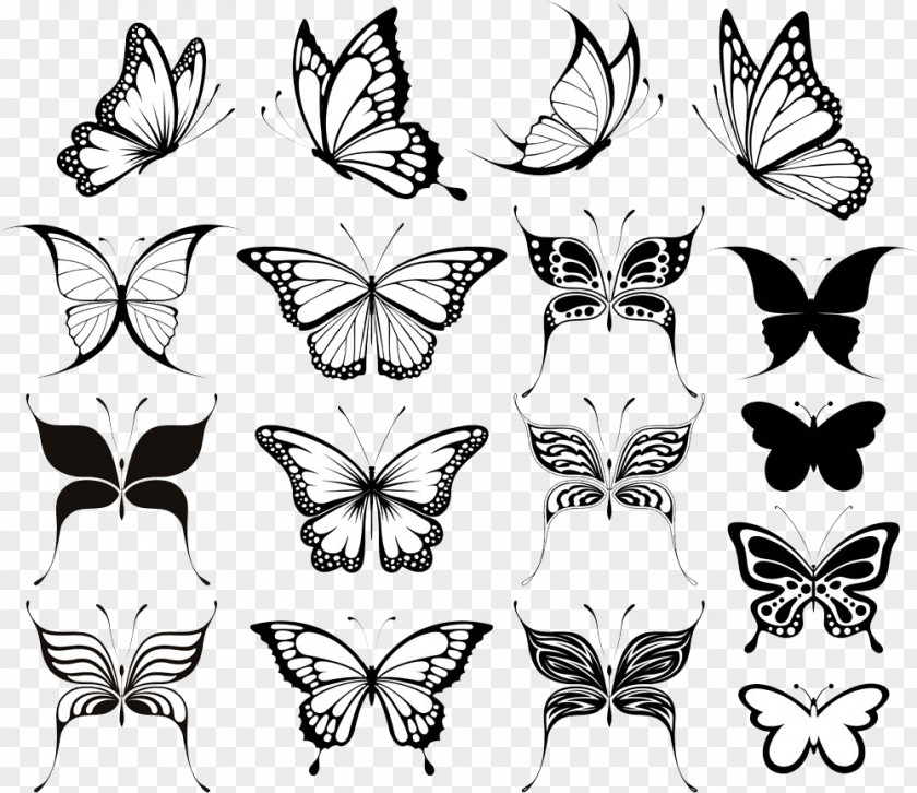 Butterfly Swallow Tattoo Idea Body Art PNG