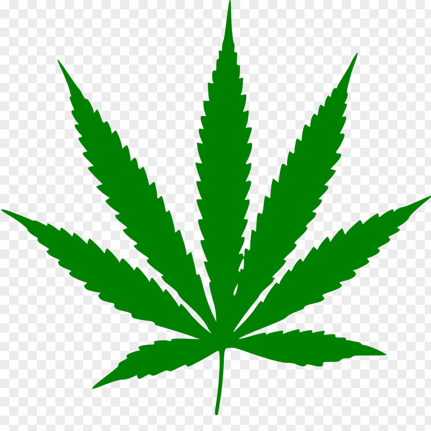 Cannabis Smoking Leaf Hemp Clip Art PNG
