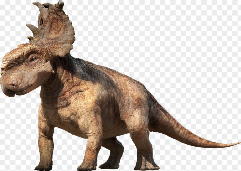 Dinosaur Pachyrhinosaurus Edmontosaurus Ceratopsia Gorgosaurus PNG