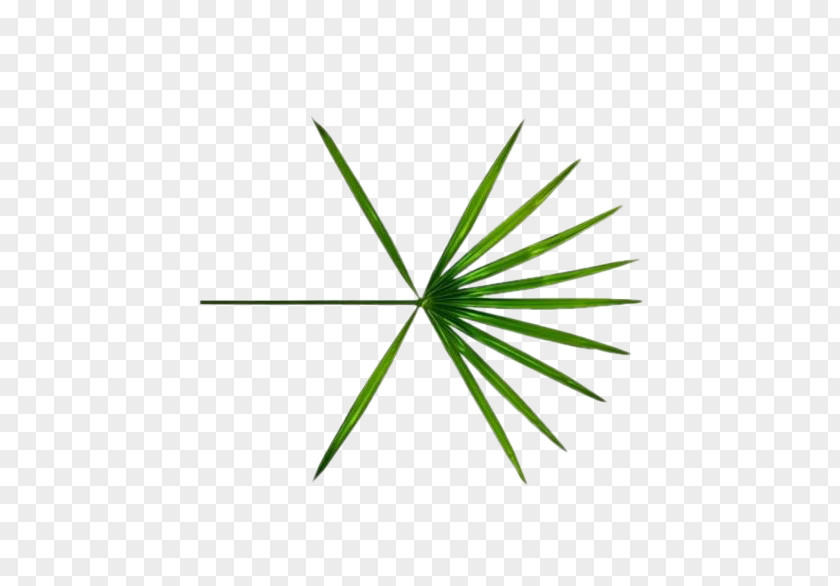 Ko Bop EXO The War Logo SM Town PNG