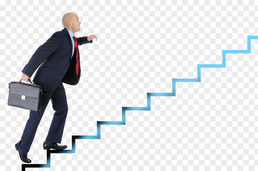 Marketing Sales Career Ladder Business Management PNG