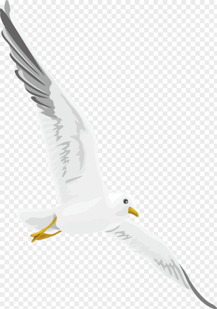 Wild Goose Decoration Design Vector Euclidean PNG