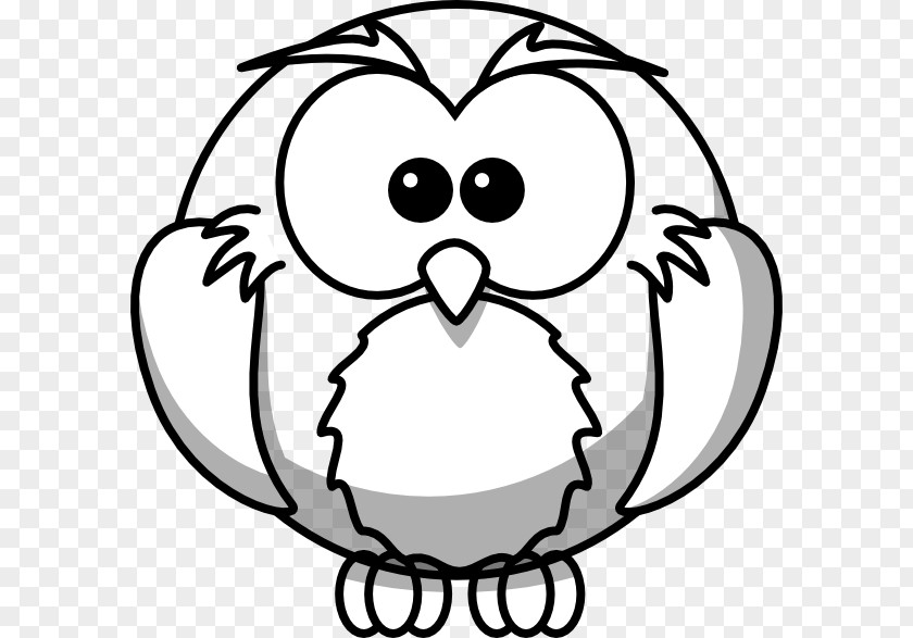 Animal Outline Drawings Snowy Owl Drawing Clip Art PNG