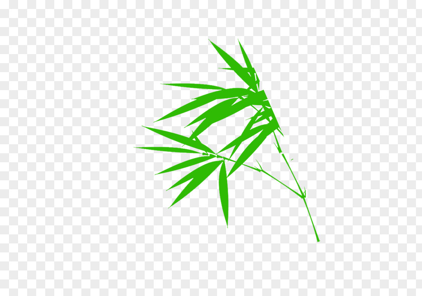 Bamboo Illustration PNG