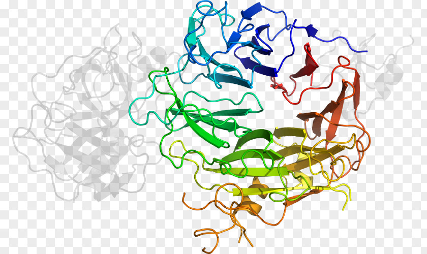 Factor VIII Haemophilia A Coagulation Recombinant DNA XIII PNG