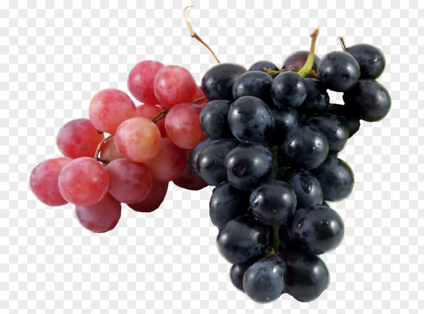 Grape Wine Common Vine Must Verjuice PNG