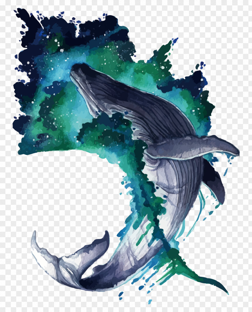 Vector Whale Watercolor Painting Illustration PNG