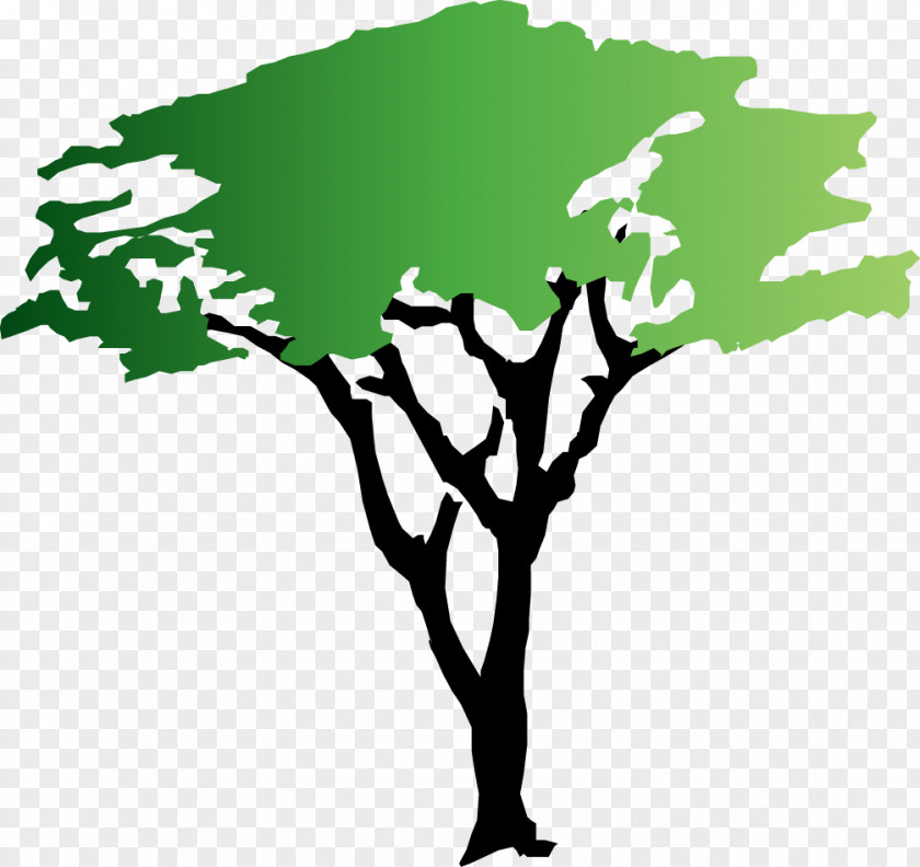 Animated Mangrove Forest Wattles Tree Clip Art PNG