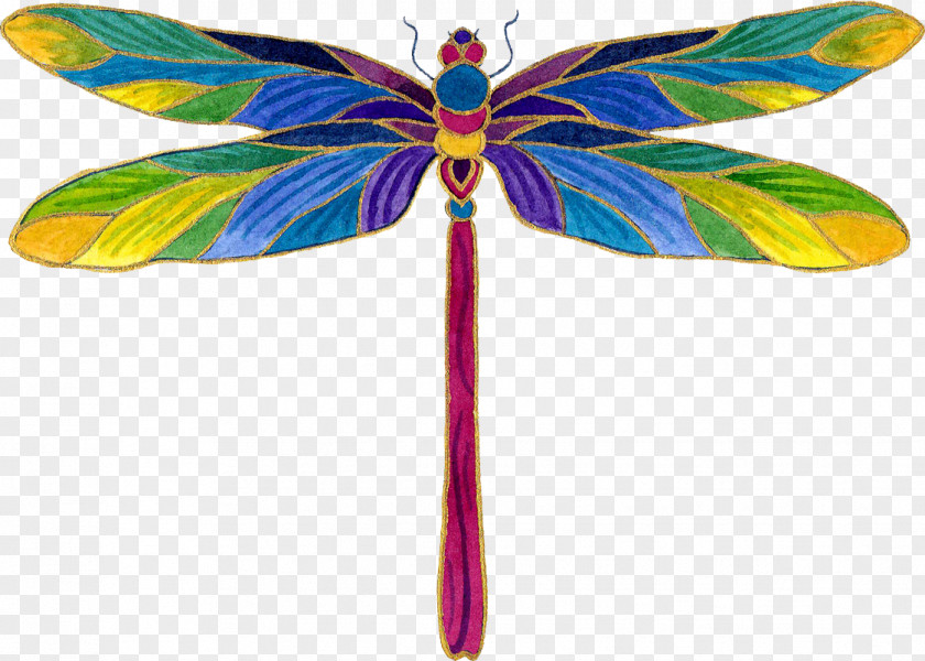 Butterfly Dragonfly Insect Therapy Clip Art PNG