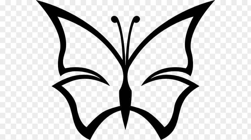 Butterfly Line Drawing Lotus Clip Art PNG