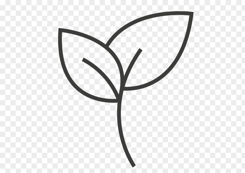 Eggers Clip Art Plant Stem Leaf Flower Line PNG