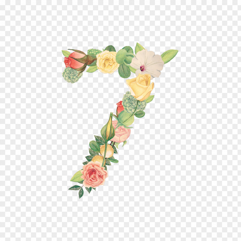 Flower Cut Flowers Floral Design Petal Number PNG
