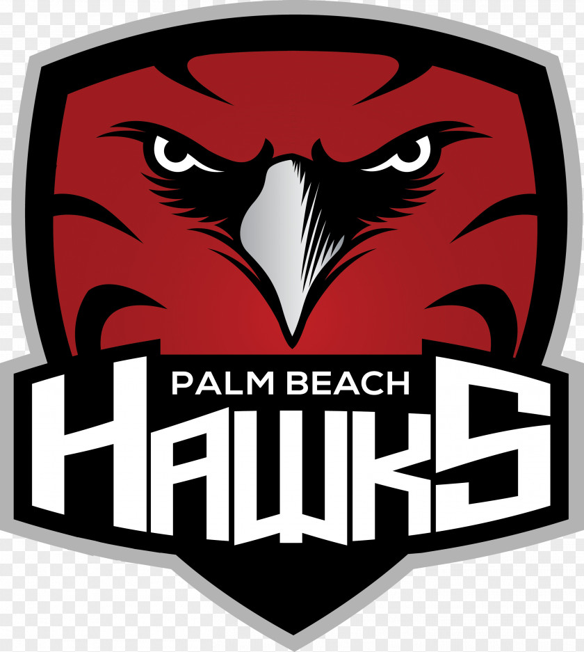 Team Logo Palm Beach Hawks Atlanta Ice Hockey PNG