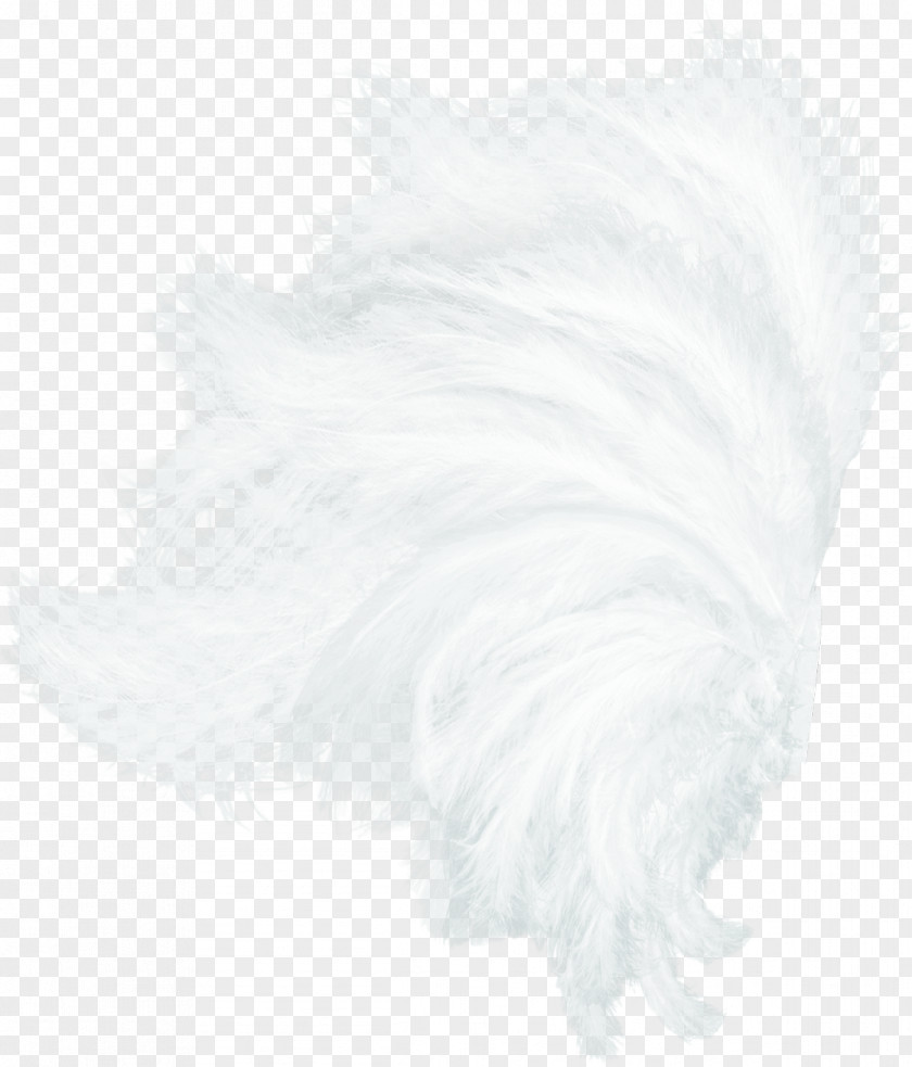 White Wings Feather Black Pattern PNG