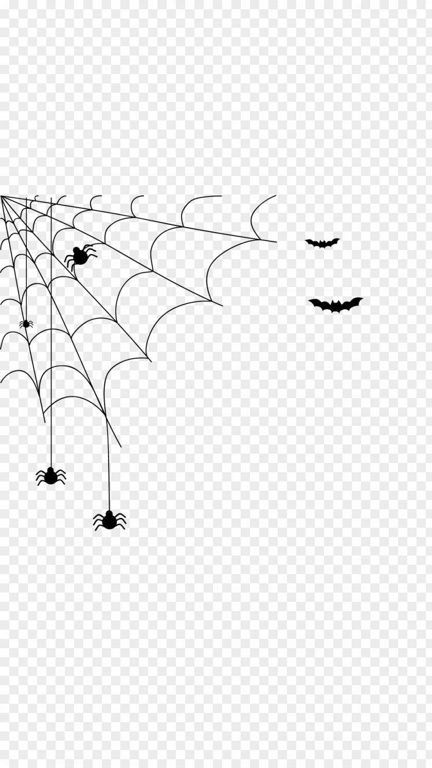 Cobweb Spider Web Black And White Halloween PNG