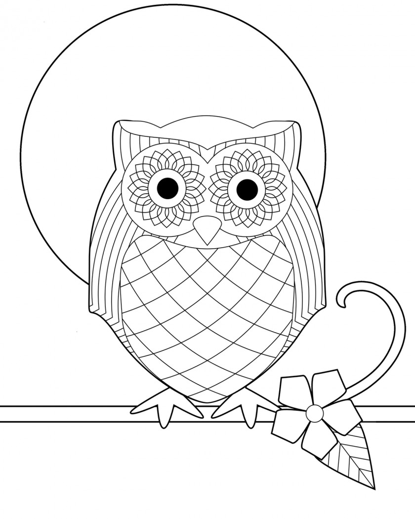 Cute Baby Owl Coloring Pages Snowy Bird Book Adult PNG