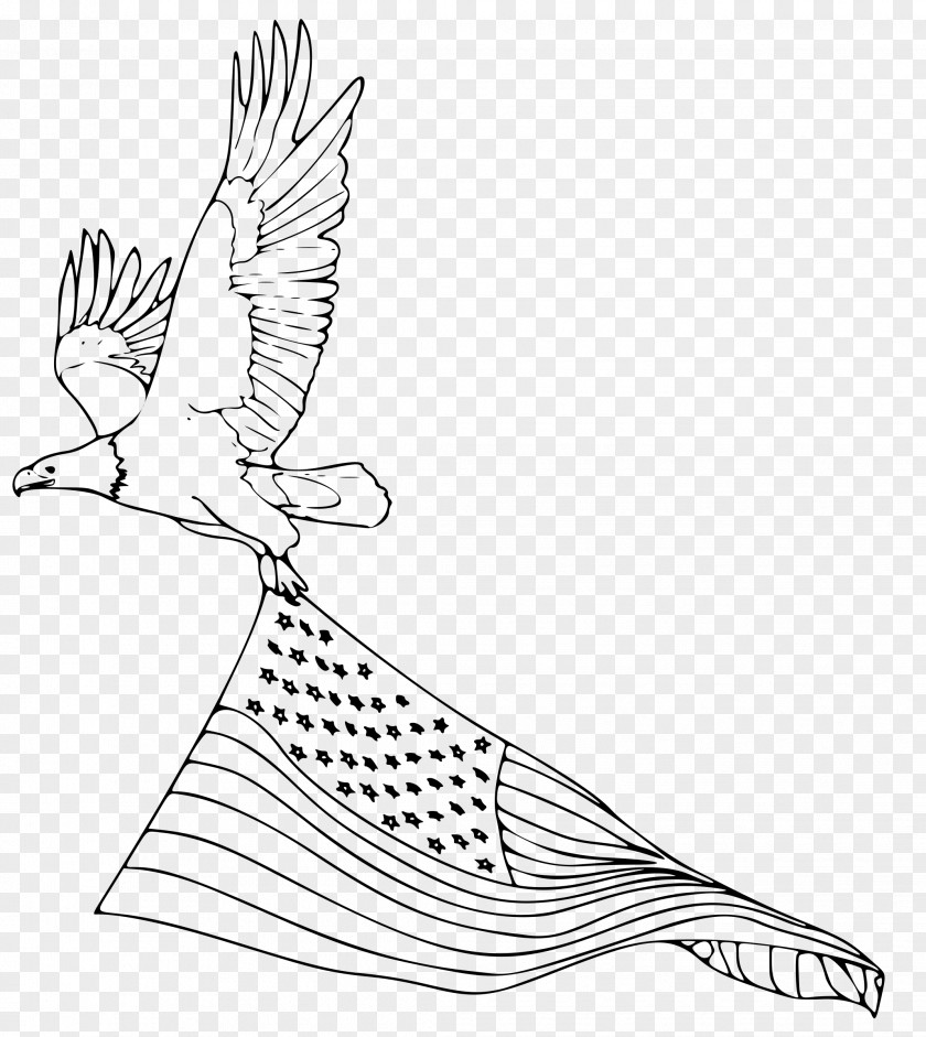 Eagle Bald Coloring Book Golden Drawing PNG