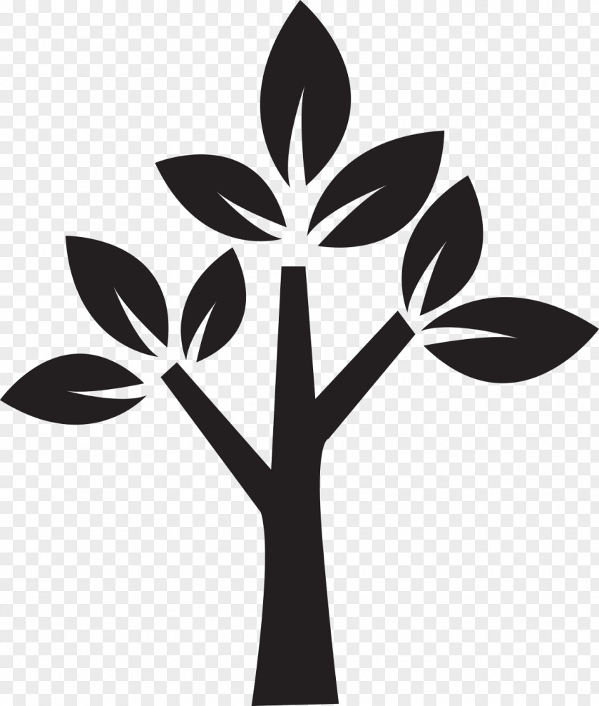 Plant Stem Tree Flower Riddle PNG