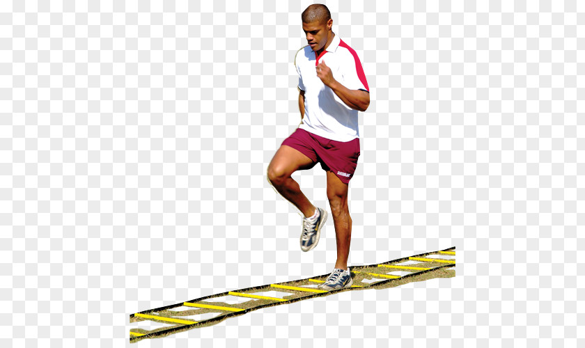 Speed Ladder Drills Exercises Sportswear Decathlon Group Athlete Physical Fitness Line PNG