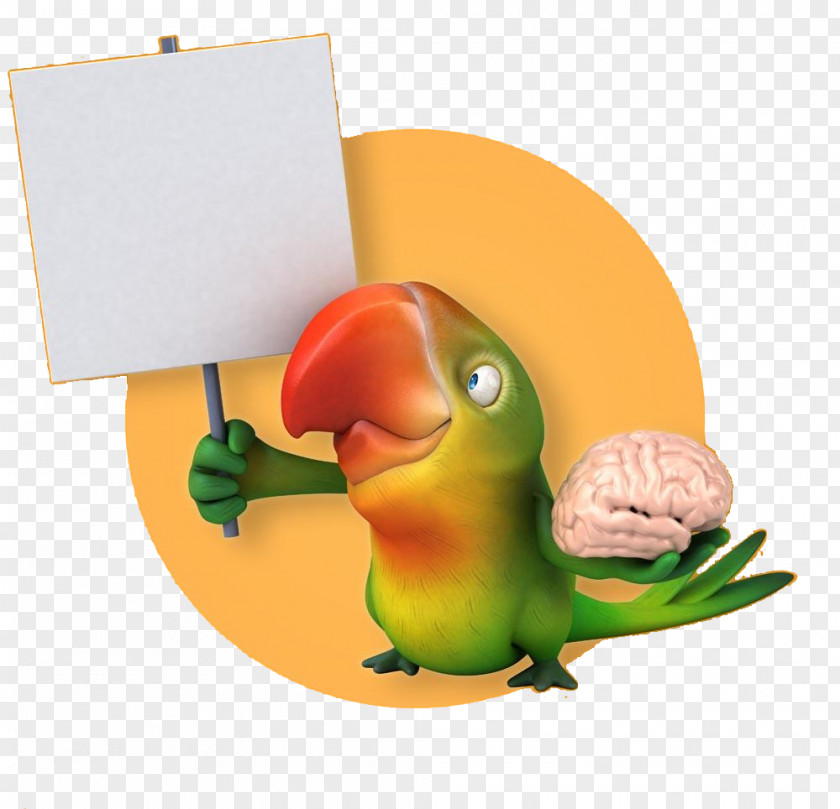 Take The Board Of Parrots Lovebird Parrot Illustration PNG