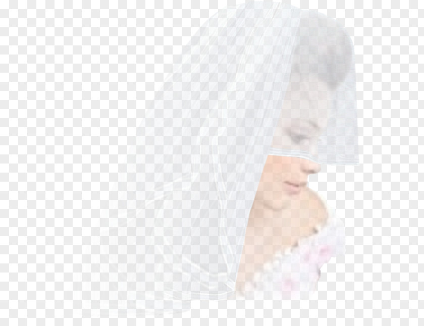 Bride Headpiece Veil Beauty.m PNG