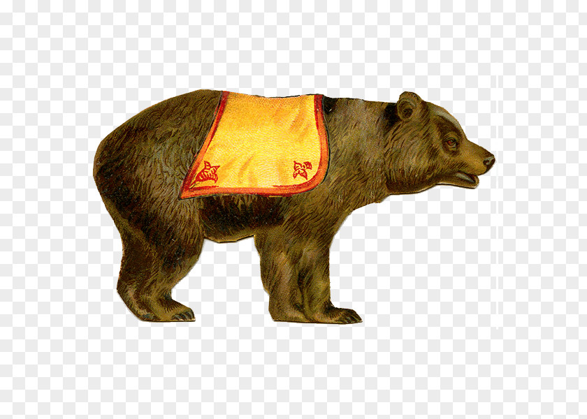 Circus Brown Bear Clip Art PNG