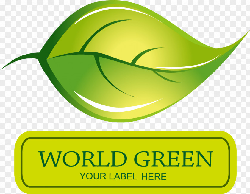 Green Leaves Picture Material Logo Leaf Drawing PNG