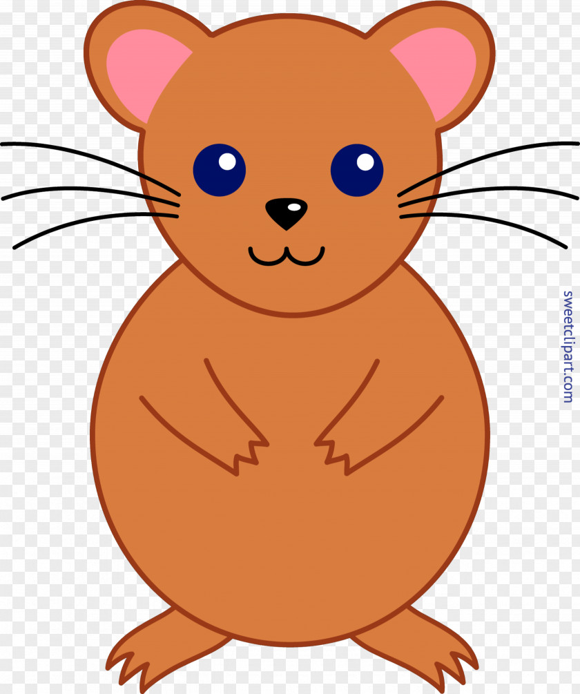Hamsters Hamster Rodent Clip Art PNG