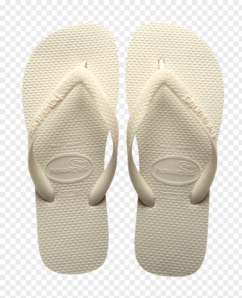 VETORES Slipper Flip-flops Sandal Shoe Crocs PNG