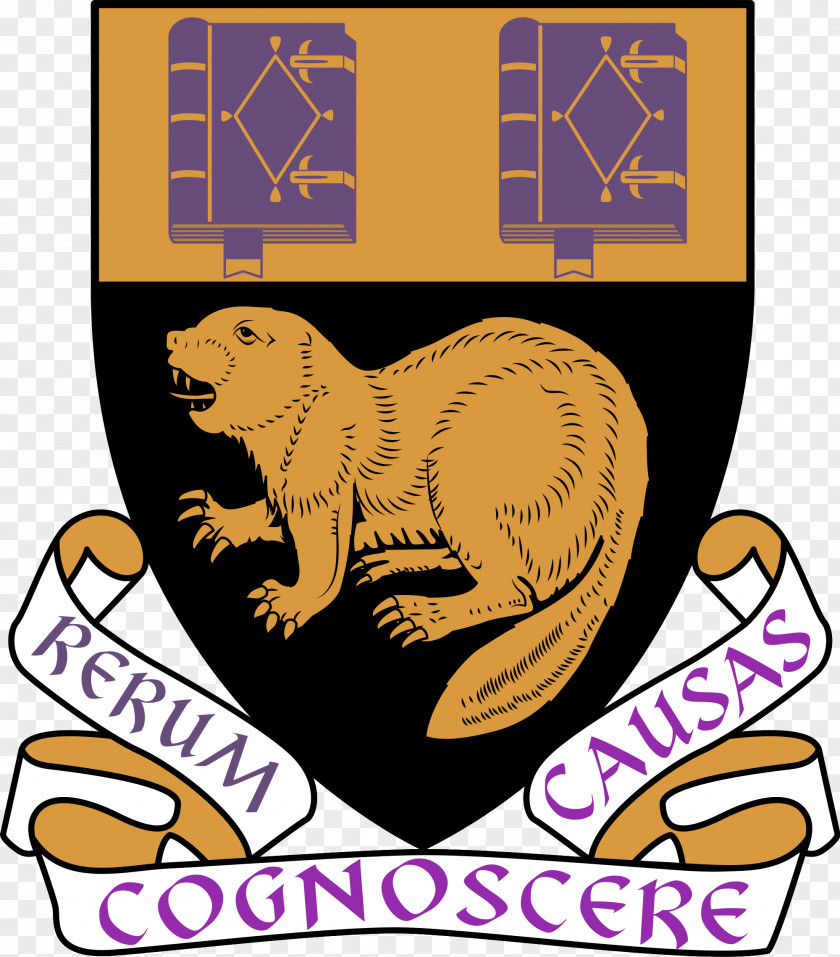 Beaver London School Of Economics University Political Science LSE Students' Union PNG